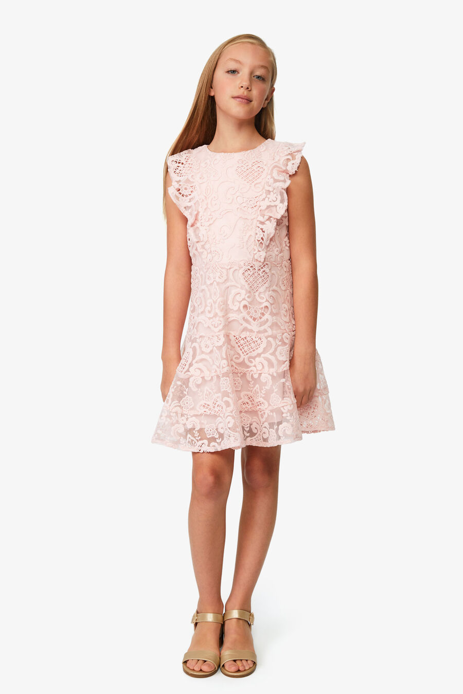 SADIE LACE DRESS in colour Blush Pink