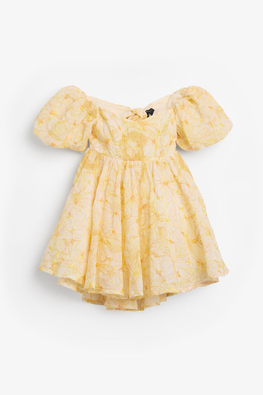 Baby Adaline Embroidered Mini Dress