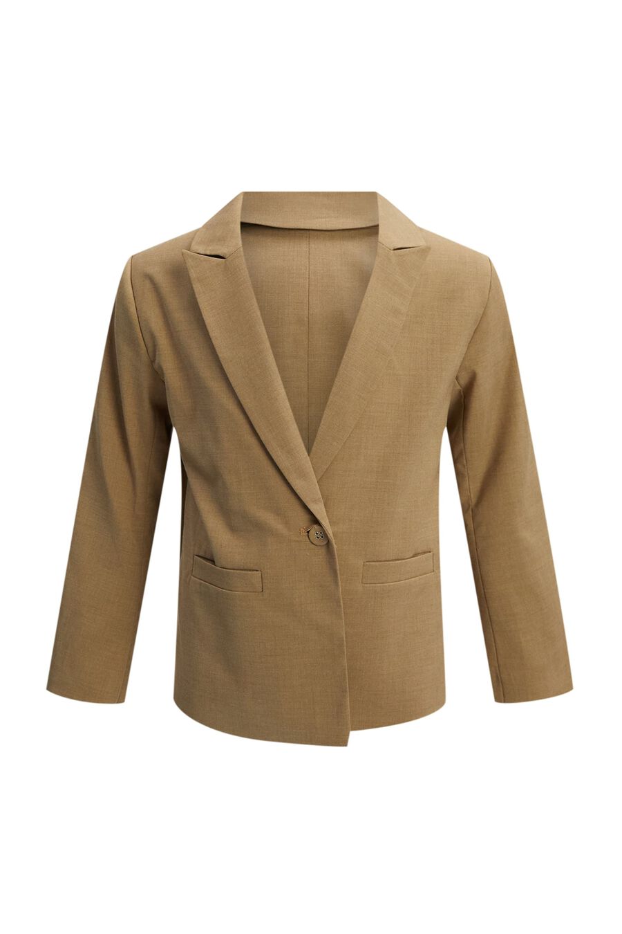CHARLES BLAZER in colour SAND