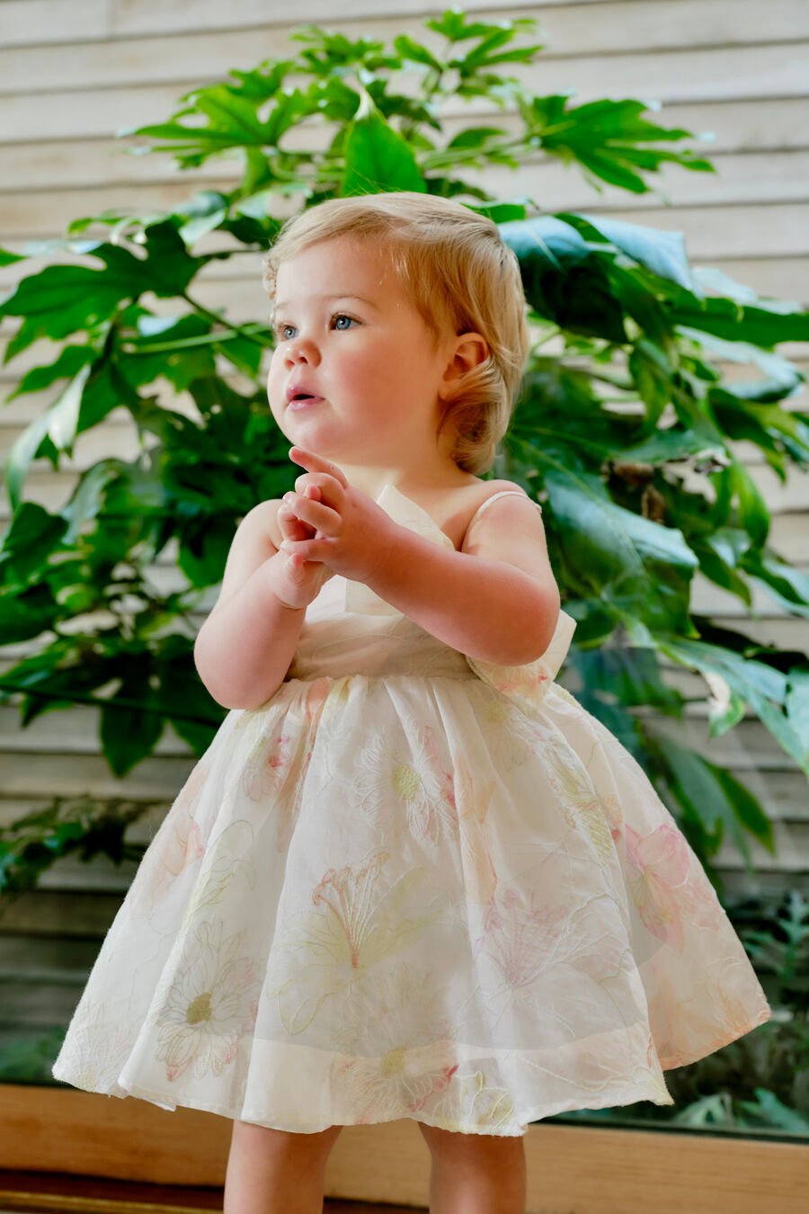Baby Anais Bow Dress
