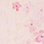 Select Colour: PINK FLORA