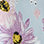 Select Colour: FLORAL