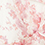 Select Colour: BLUSH FLRL